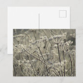 つや消し ポストカード (正面/裏面)