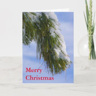 つららが付いているSwowyの大枝 シーズンカード