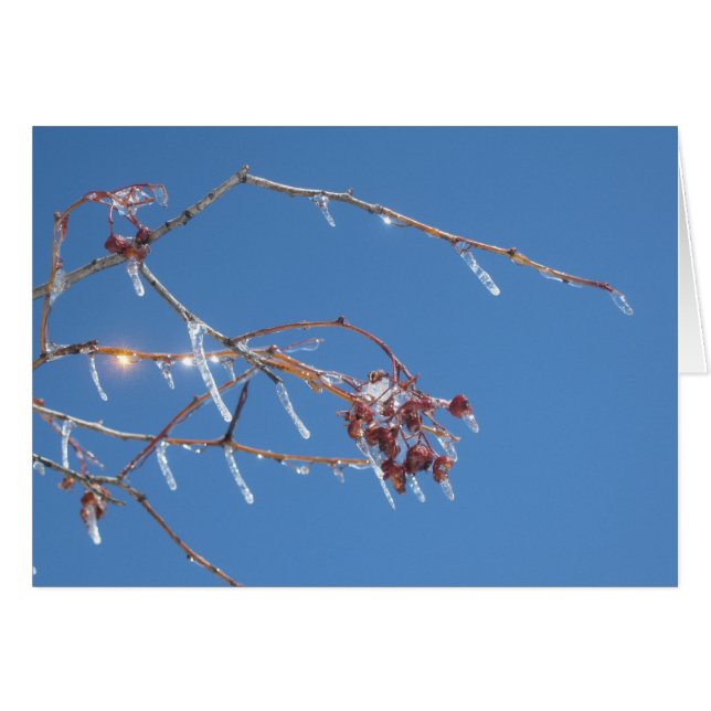 つららは青空に対して日光で光っています (正面横)