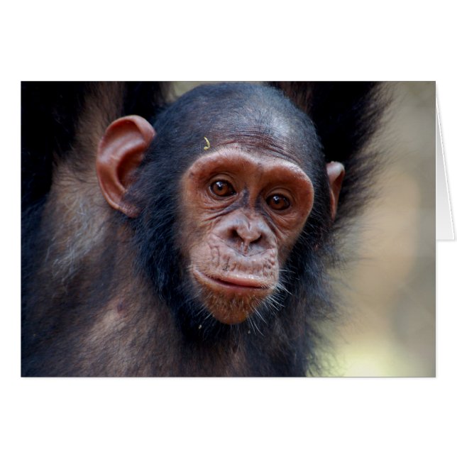 つるすこと (正面横)