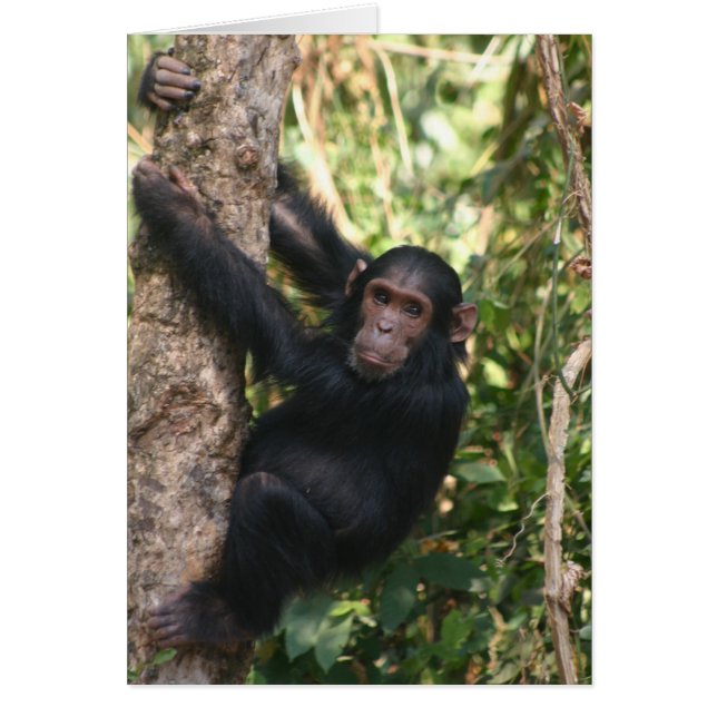 つるすこと (正面)