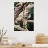 つるは ポスター (キッチン)