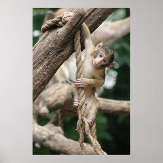 つるは ポスター