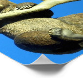 つるは ポスター (角)