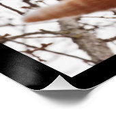 つるよ!ーしっかり握るジンジャー猫 ポスター (コーナー)