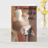 つるよ!Catグリーティングカード カード (黄色い花)