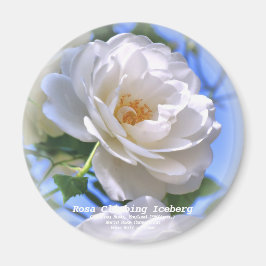 つるアイスバーグ マグネット