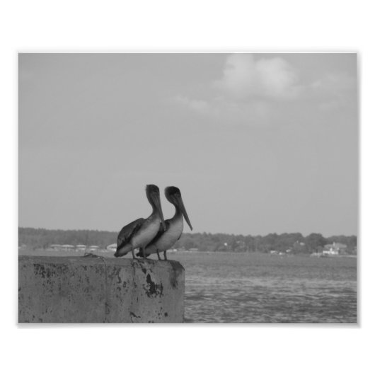 つるアウト フォトプリント            (正面)