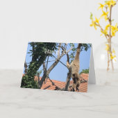 つるオン、サル誕生日 カード (黄色い花)