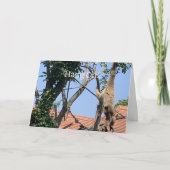 つるオン、サル誕生日 カード (正面)