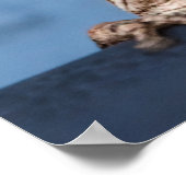 つるカエル ポスター (角)