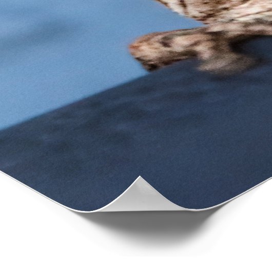 つるカエル ポスター (角)