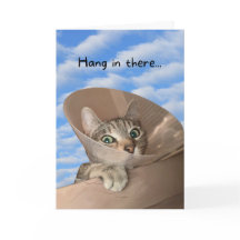 つるコーンの猫がおもしろい元気だ