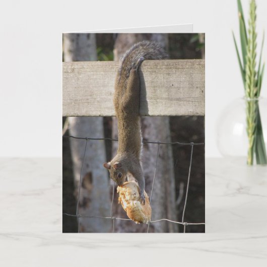 つるベビー空白の中 カード (正面)