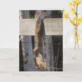 つるベビー空白の中 カード (黄色い花)