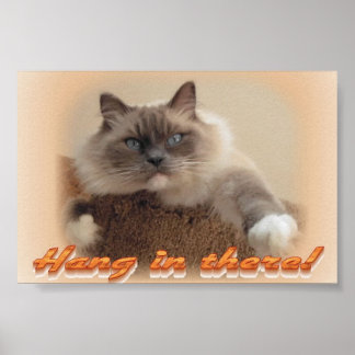 つる中だ！ ポスター