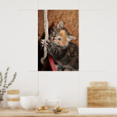 つる中に子猫! ポスター (キッチン)