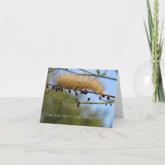 つる中に…あなた考えの カード (正面)