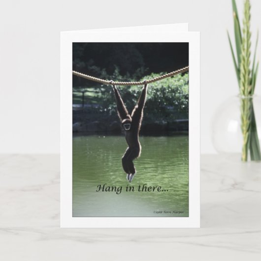 つる中 カード (正面)