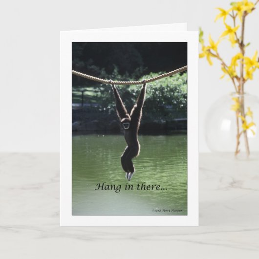 つる中 カード (黄色い花)