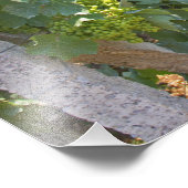 つる植物がサポートするワイヤで高度に訓練を受けた フォトプリント            (角)