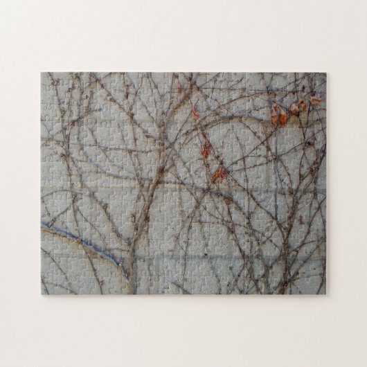 つる植物が付いているコンクリートブロックの壁 ジグソーパズル (横)