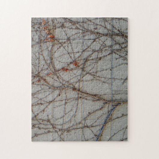 つる植物が付いているコンクリートブロックの壁 ジグソーパズル (縦)