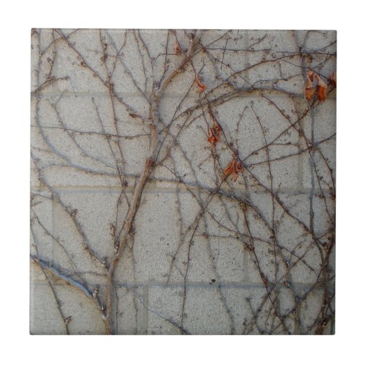 つる植物が付いているコンクリートブロックの壁 タイル (正面)