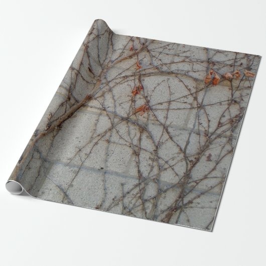 つる植物が付いているコンクリートブロックの壁 ラッピングペーパー (アンロールド)