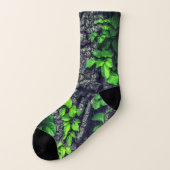 つる植物で覆われた樹皮灰色の緑 ソックス (左外側)