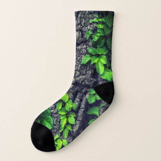 つる植物で覆われた樹皮灰色の緑 ソックス (左外側)
