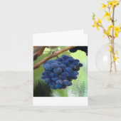 つる植物と枝 カード (黄色い花)