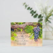 つる植物のブドウ日付カードを保存 案内ポストカード (スタンド正面)