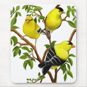 つる植物のマウスパッドのアメリカのGoldfinches マウスパッド