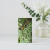 つる植物の両面プロフィールカードのブドウ 名刺 (スタンド正面)