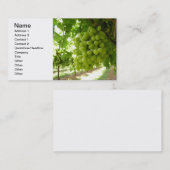 つる植物の緑のブドウ 名刺 (正面/裏面)