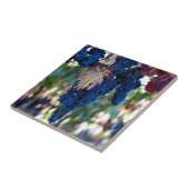 つる植物の葡萄 タイル (側面)