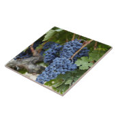 つる植物の赤ワインのブドウ タイル (側面)