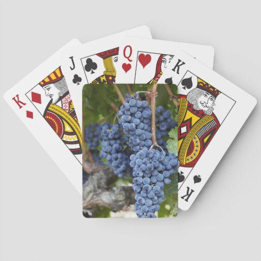 つる植物の赤ワインのブドウ トランプ (裏面)