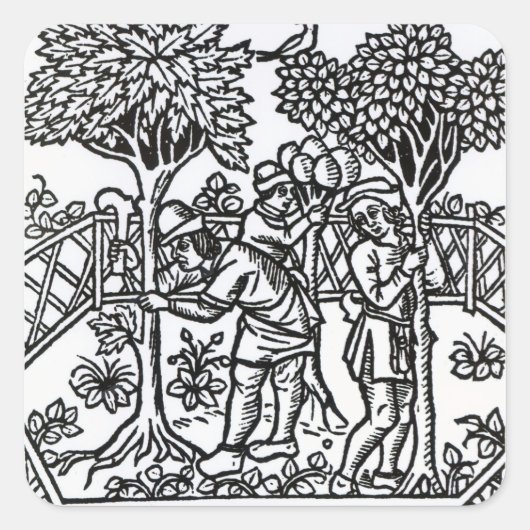 つる植物をがちがち スクエアシール (正面)