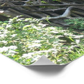 つる植物コテージポスター ポスター (角)