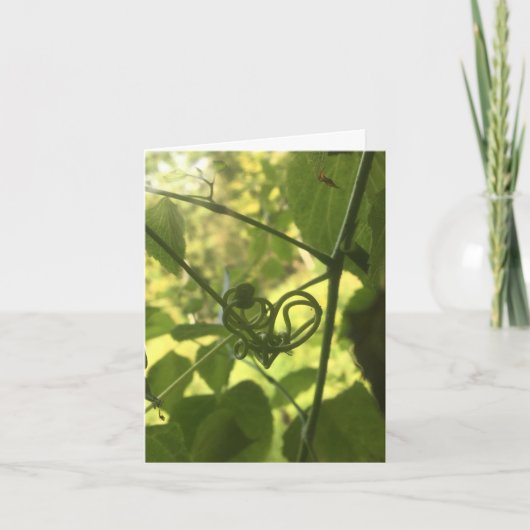 つる植物ハートノテカード カード (正面)