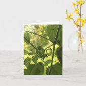 つる植物ハートノテカード カード (黄色い花)