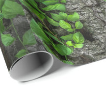 つる植物被覆木