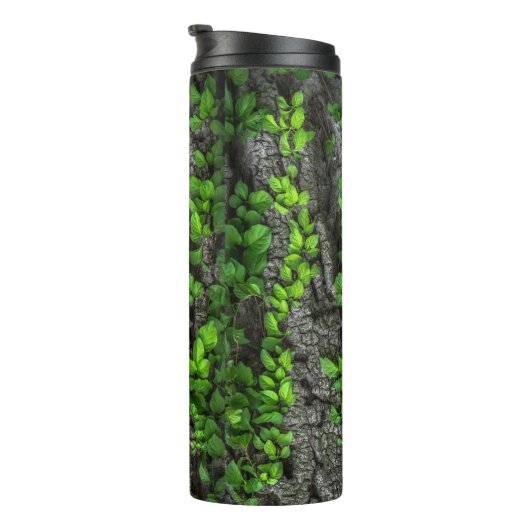 つる植物被覆樹皮葉緑茶 タンブラー (回転右)