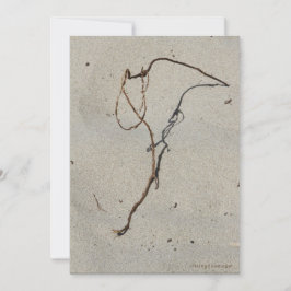 つる植物/スタンドロック、大砲ビーチ、オレゴン カード