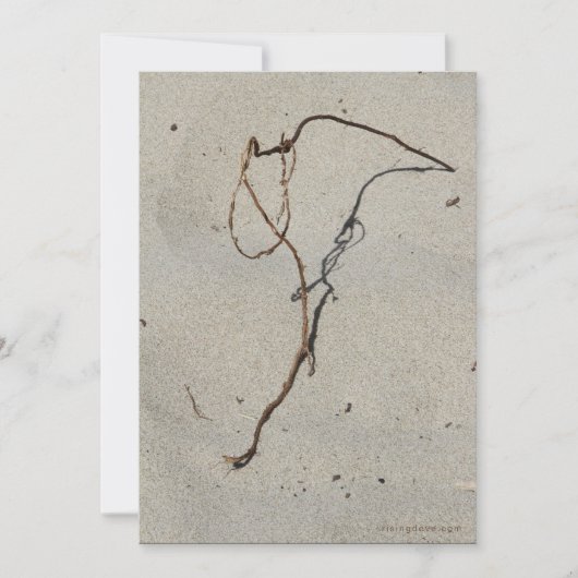 つる植物/スタンドロック、大砲ビーチ、オレゴン カード (正面)