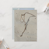 つる植物/スタンドロック、大砲ビーチ、オレゴン カード (正面/裏面インサイチュ)