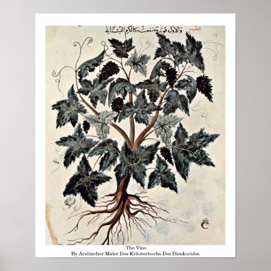 つる植物 ポスター (正面)