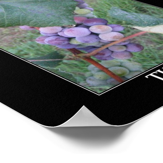 つる植物 ポスター (角)